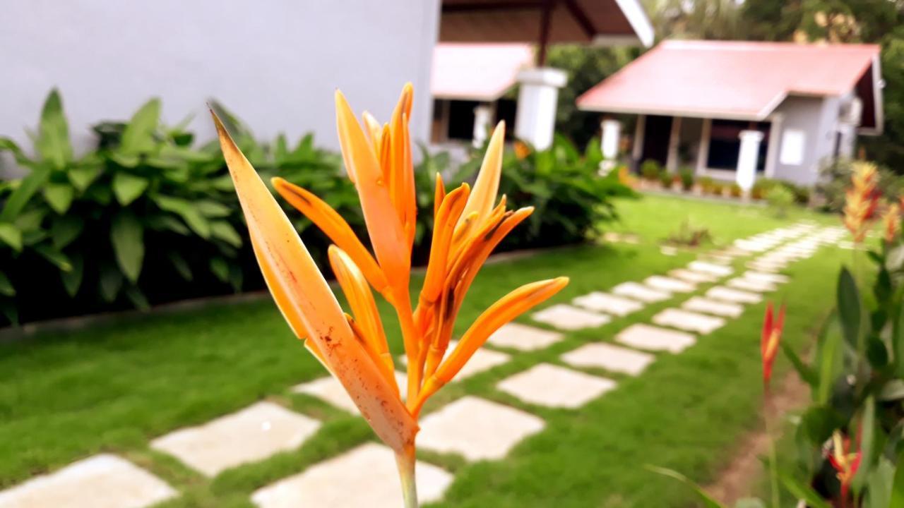 Arcadia Resort Alibaug Alibag Exterior photo